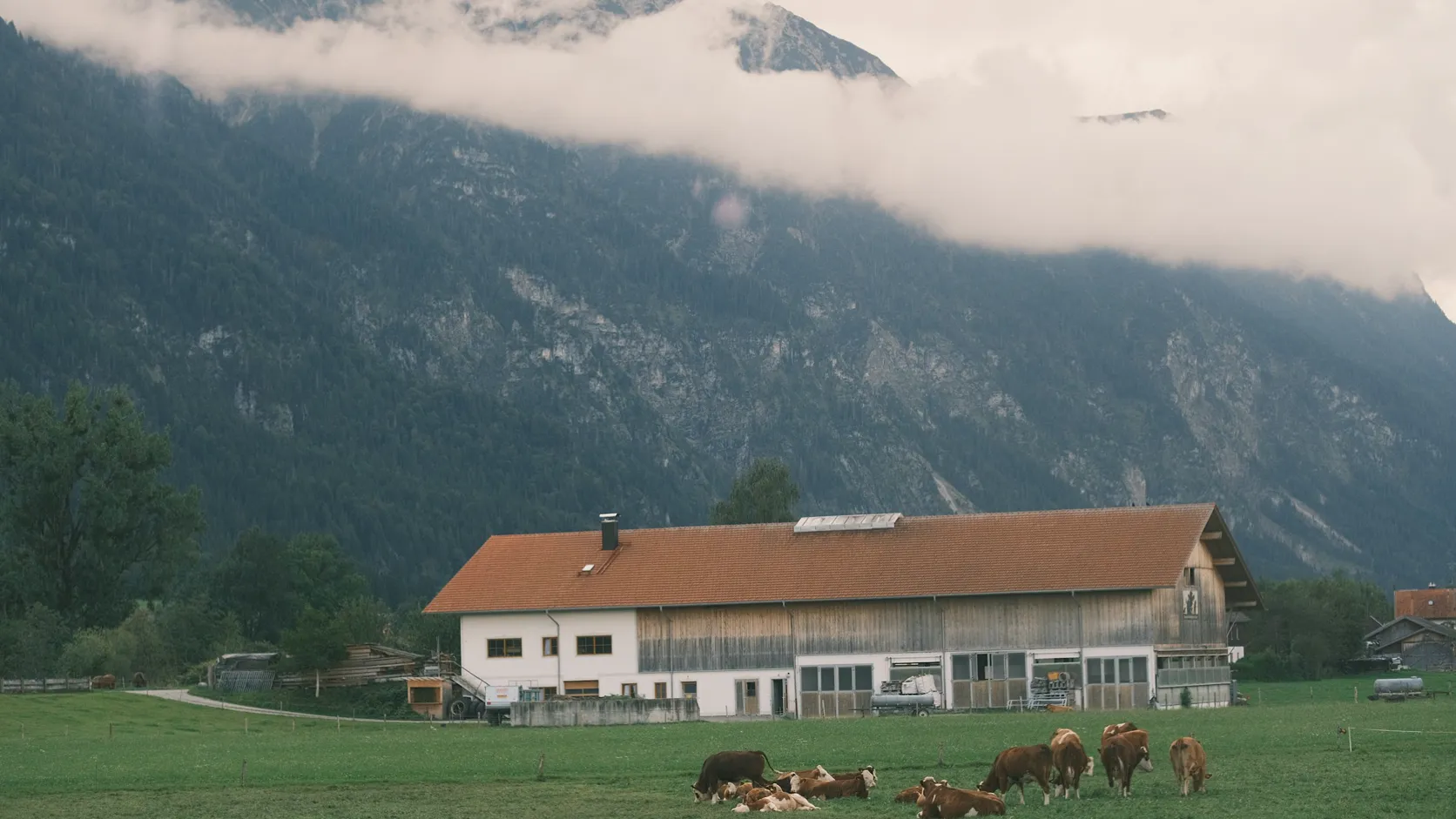 Ganado pastando frente a una granja alpina europea, mercado donde el software de formulación Allix está consolidado.