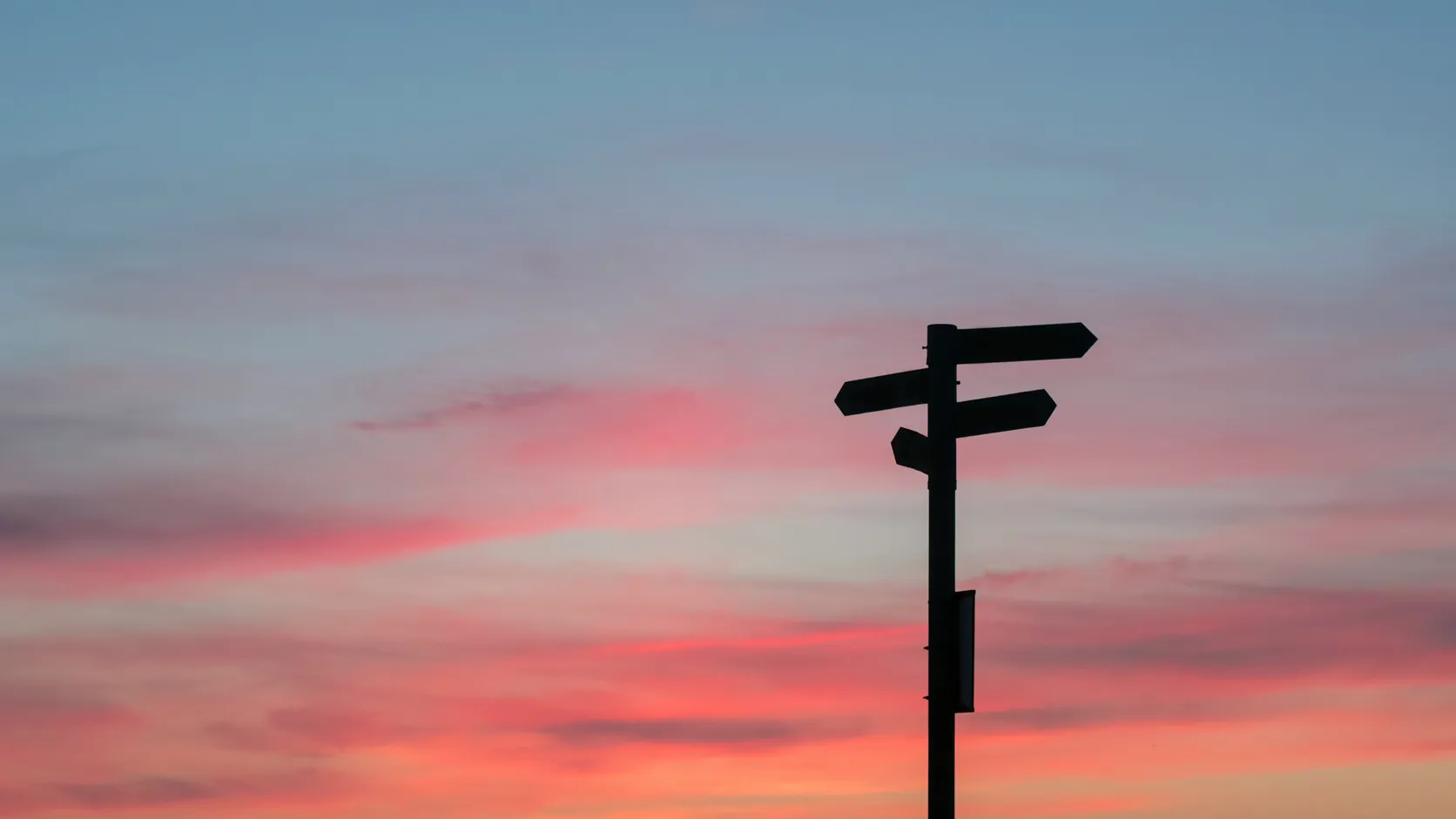 Señalización contra un cielo al atardecer, representando la elección entre opciones de software de formulación.