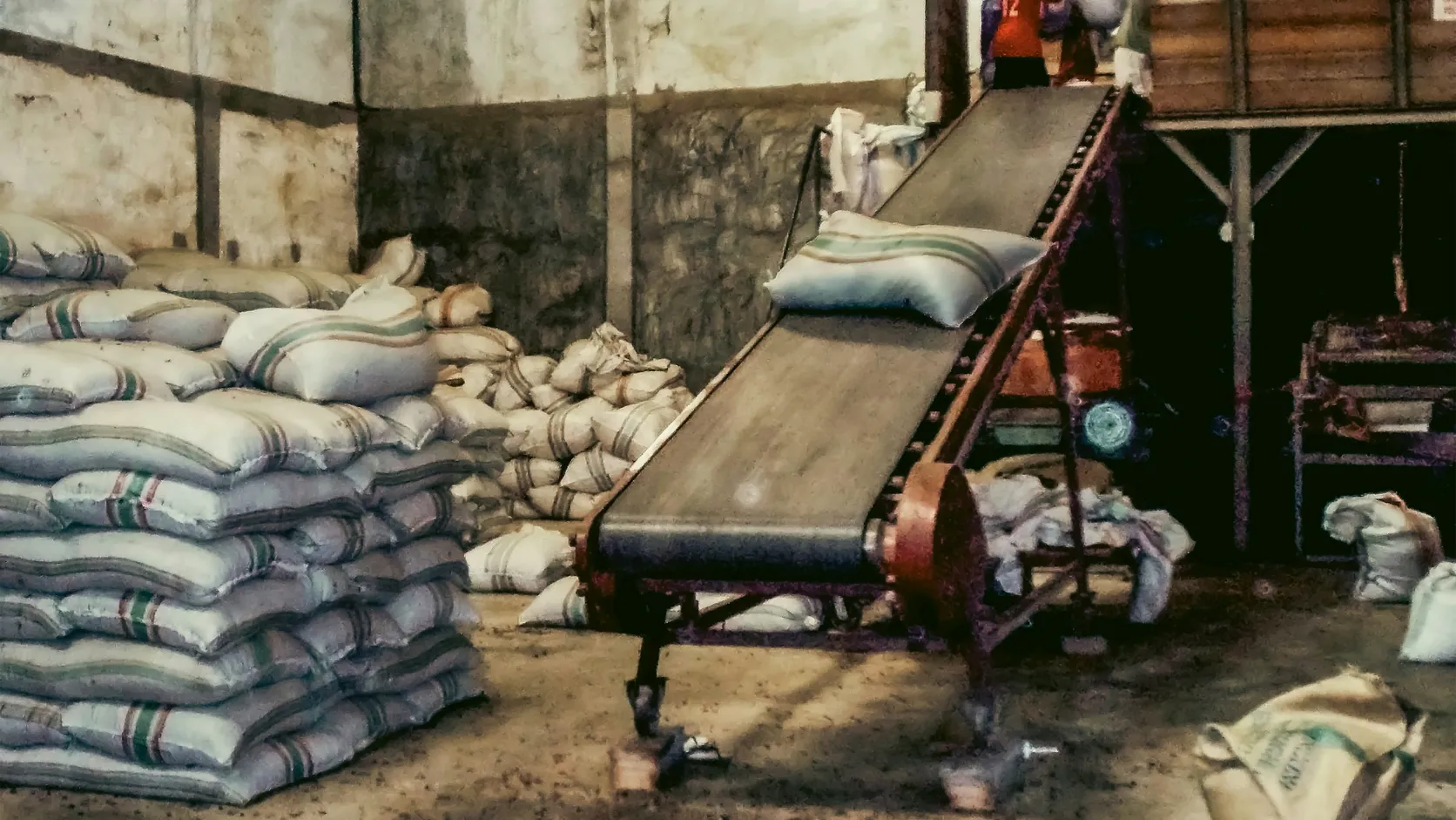 Transportador y sacos de alimento apilados dentro de un almacén de planta de alimentos en operación.