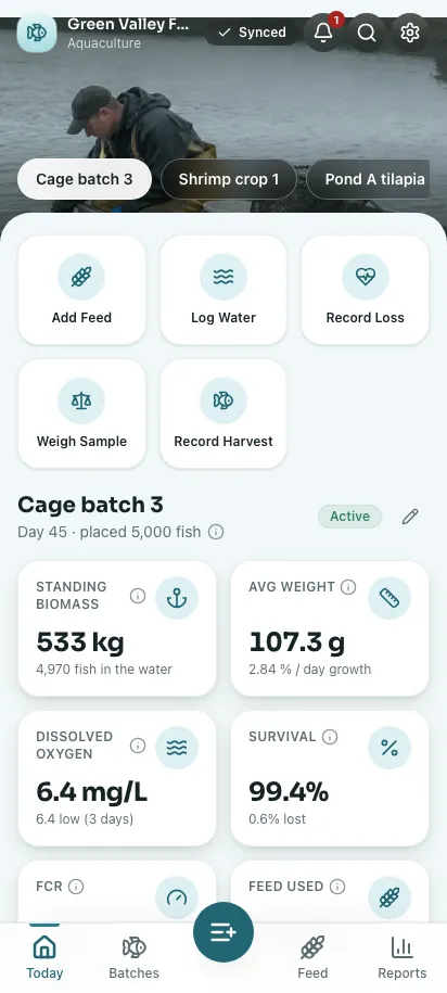 Feedsoft Aquaculture on a phone, showing the day's numbers