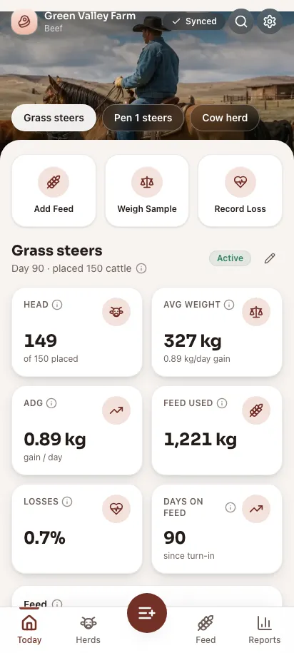 Feedsoft Beef on a phone, showing the day's numbers