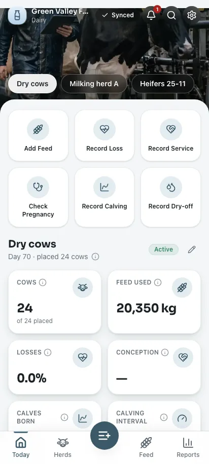Feedsoft Dairy on a phone, showing the day's numbers