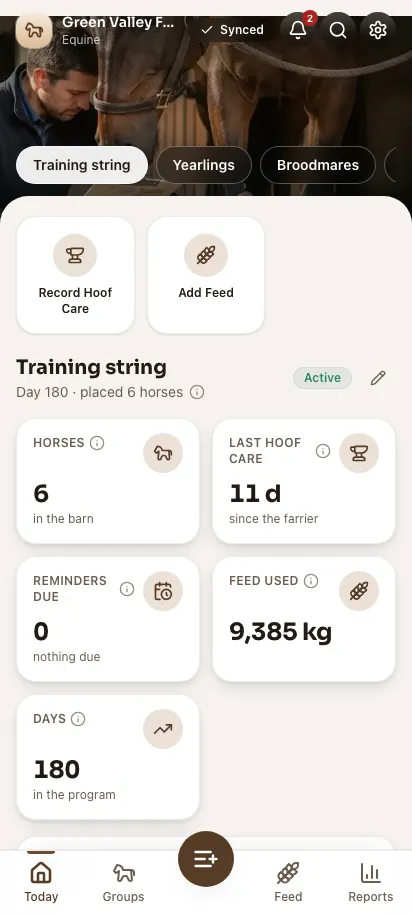 Feedsoft Equine on a phone, showing the day's numbers
