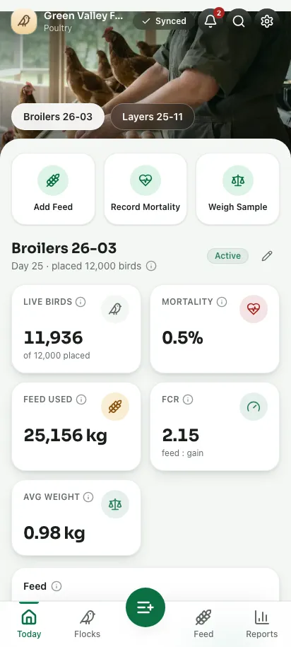 Feedsoft Poultry on a phone, showing the day's numbers