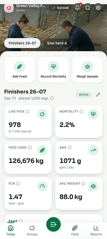 Feedsoft Swine on a phone, showing the day's numbers